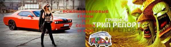 гидра Баксан