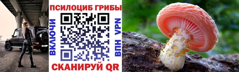 купить закладку  Кондрово  omg   Галлюциногенные грибы Magic Shrooms 